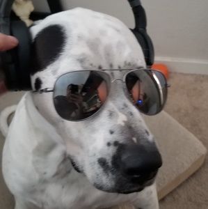 Meet your Posher, Russell